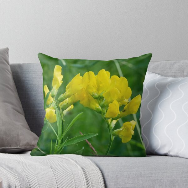 Item preview, The bend. Meadow vetchling designed and sold by Jouko Lehto Photography.