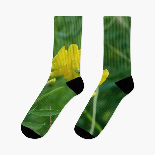 Item preview, The bend. Meadow vetchling designed and sold by Jouko Lehto Photography.