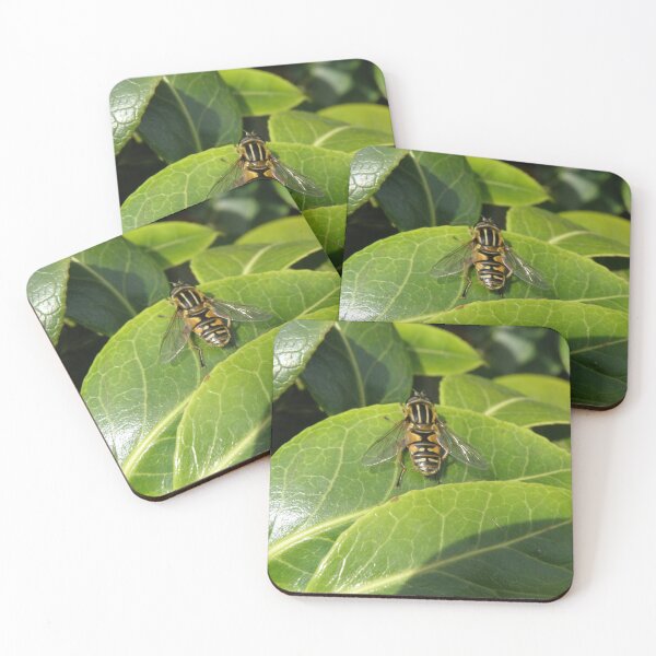 Item preview, Hoverfly on a leaf Photograph designed and sold by naturegallery.