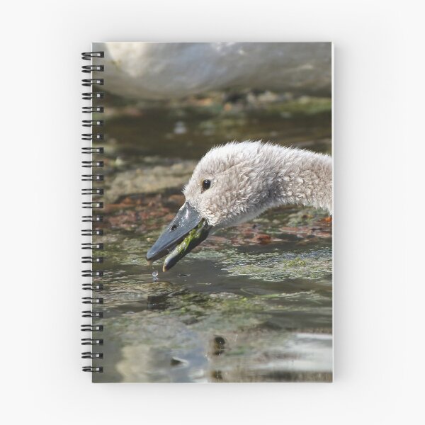 Item preview, Cygnet designed and sold by GreyFeatherPhot.