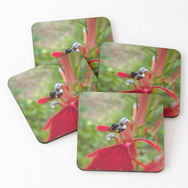 Item preview, Micro Pollen Collection designed and sold by Emily Noyes.