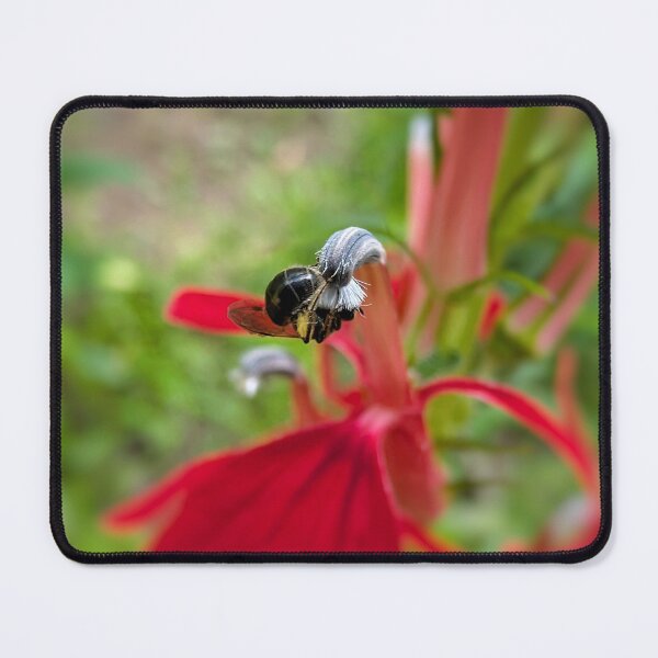 Item preview, Micro Pollen Collection designed and sold by Emily Noyes.