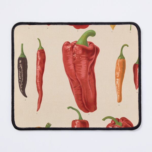 Item preview, Chili Pepper Scientific Illustration designed and sold by Aesthetic Archive.