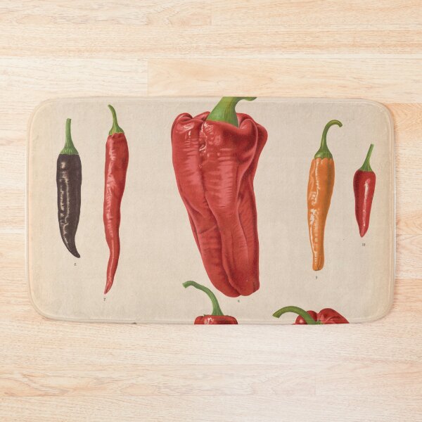 Item preview, Chili Pepper Scientific Illustration designed and sold by Aesthetic Archive.