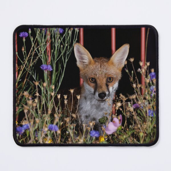 Item preview, Stunning urban red for emerging through some wildflowers  designed and sold by toms206.