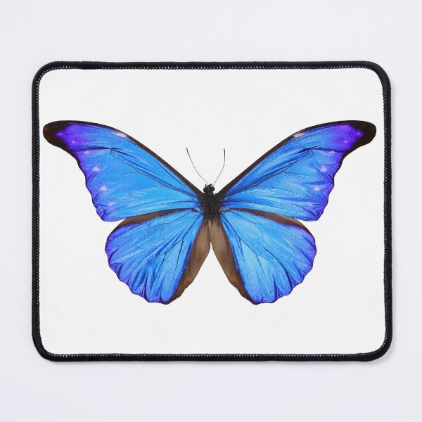 Item preview, Blue Butterfly designed and sold by Aesthetic Archive.