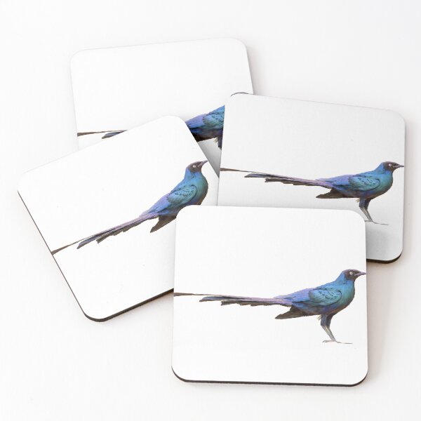 Item preview, Long tailed Starling designed and sold by Gallydoll.
