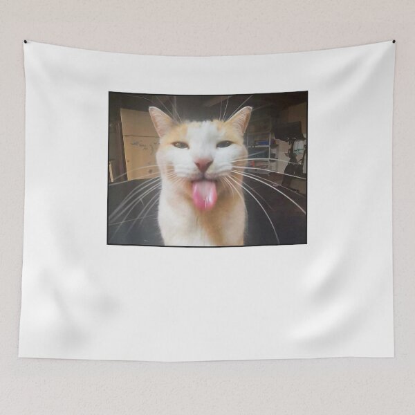 Item preview, cool cat meme  designed and sold by BASKF.