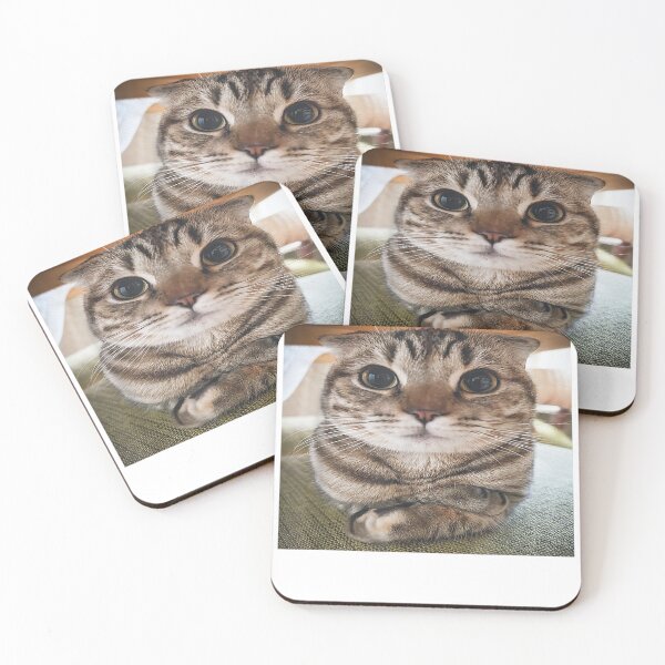 Item preview, Cute cat meme designed and sold by BASKF.