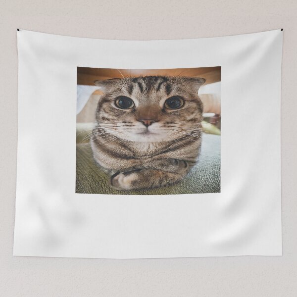 Item preview, Cute cat meme designed and sold by BASKF.