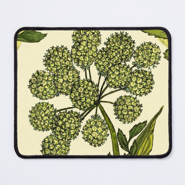Item preview, Angelica - (Angelica Root) designed and sold by Risaa Villanueva Restrepo.