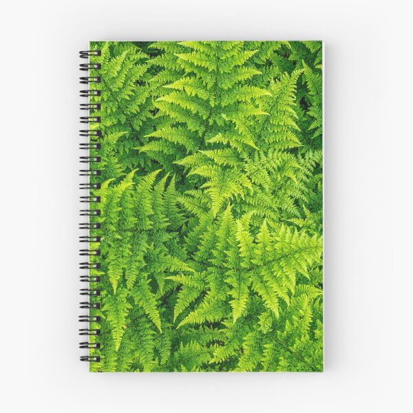 Item preview, Garden Fern designed and sold by MLP Fine Art.