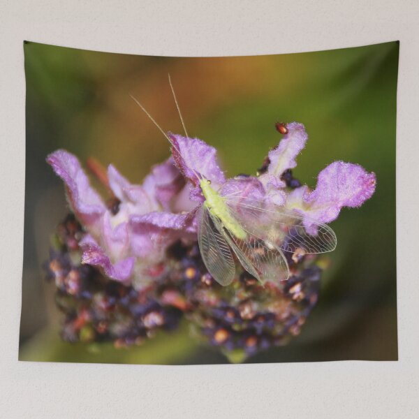 Item preview, Lacewing on Lavender designed and sold by AnnDixon.