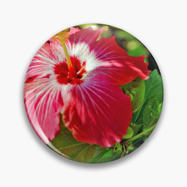 Item preview, Flor de hibisco designed and sold by Russell Paul Fernando.