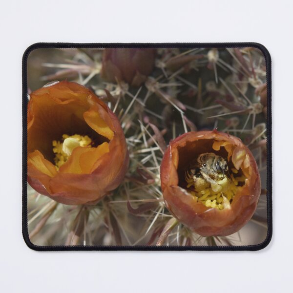 Item preview, Bee in cactus flower designed and sold by Gallydoll.