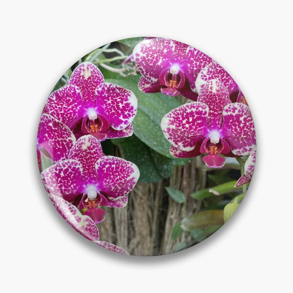 Item preview, Purple Orchid designed and sold by SnappedBySam.