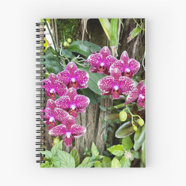 Item preview, Purple Orchid designed and sold by SnappedBySam.
