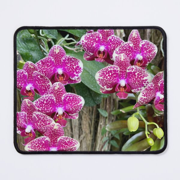 Item preview, Purple Orchid designed and sold by SnappedBySam.