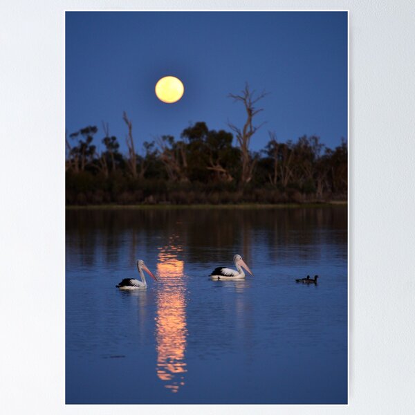 Item preview, THE BEAUTIFUL MOONRISE designed and sold by paulwhitephotos.