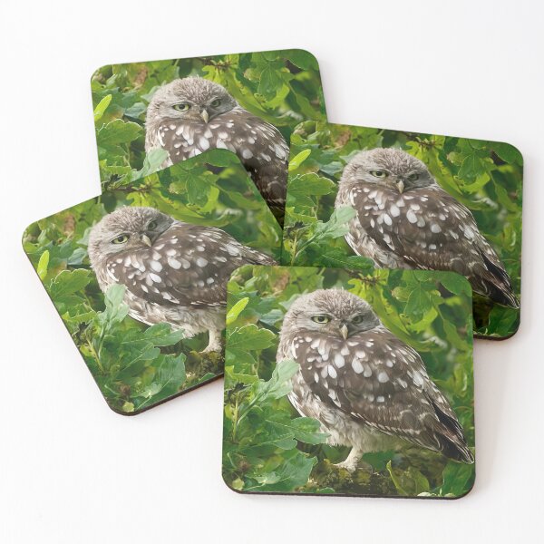 Item preview, Little owl perched on tree designed and sold by bladeuktm.