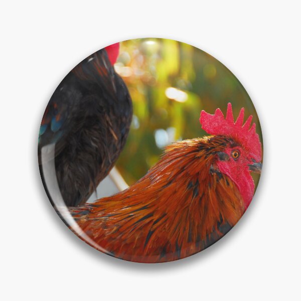 Item preview, COUPLE OF ROOSTERS designed and sold by paulwhitephotos.
