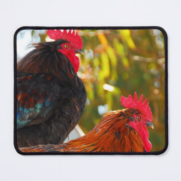 Item preview, COUPLE OF ROOSTERS designed and sold by paulwhitephotos.