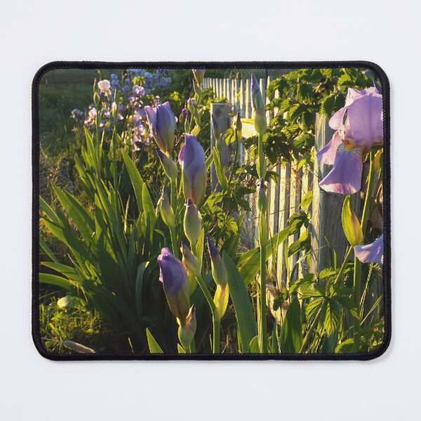 Item preview, Irises And The Golden Hour designed and sold by Brenda's Images.