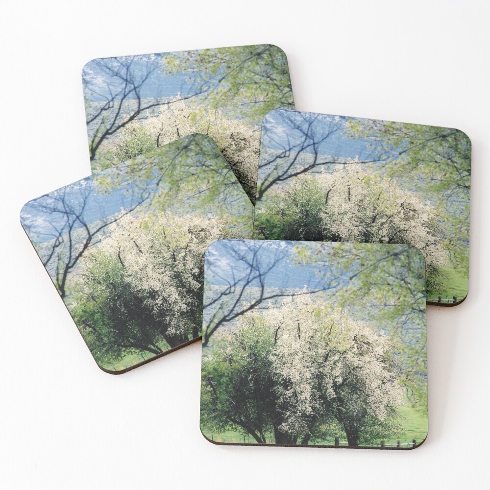 Item preview, Coasters (Set of 4) designed and sold by HiDesertImages.
