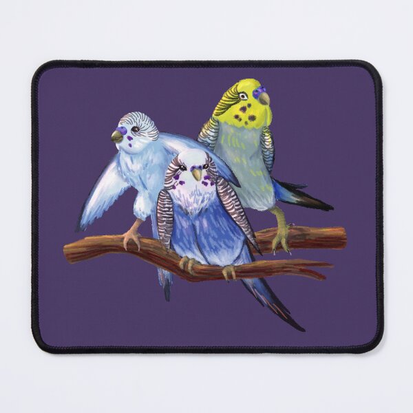 Item preview, Budgie Boy Band designed and sold by GuppyFry.