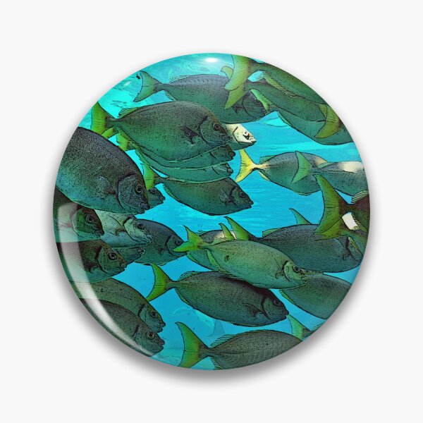 Item preview, School of Fish designed and sold by Rainbow Farm Photography.