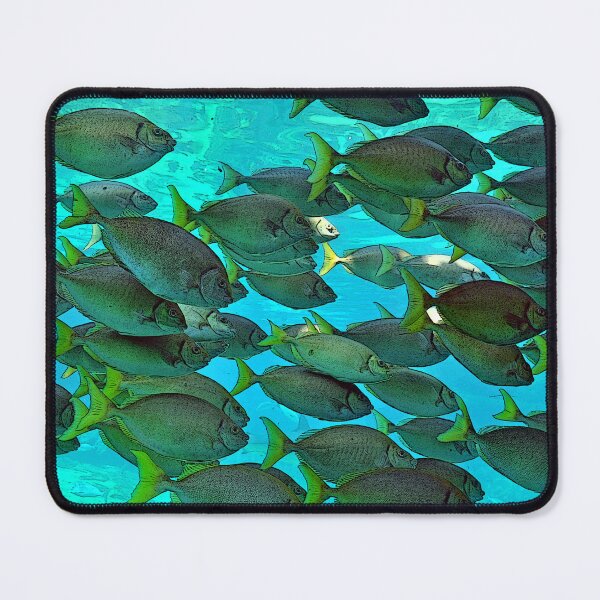 Item preview, School of Fish designed and sold by Rainbow Farm Photography.