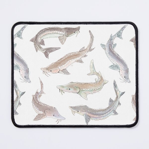 Item preview, Watercolor white sturgeon designed and sold by chaoticcaprisun.