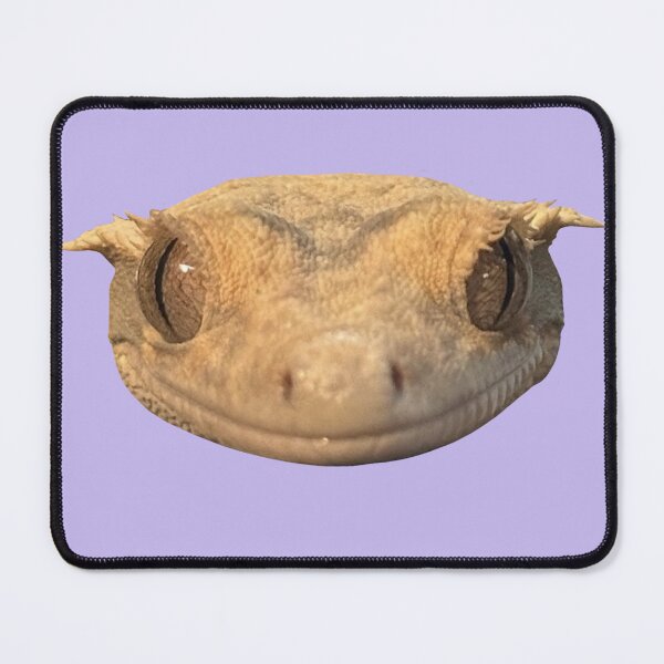 Item preview, Gecko Smile designed and sold by mudskiipper.