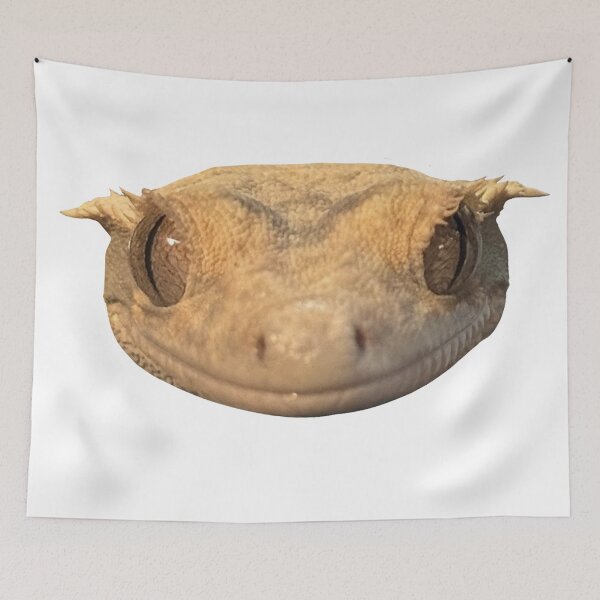 Item preview, Gecko Smile designed and sold by mudskiipper.