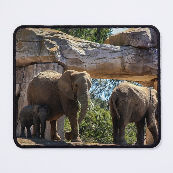 Item preview, A Family Outing designed and sold by heatherfriedman.