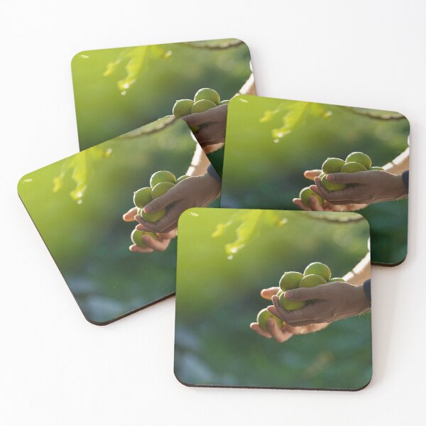 Item preview, Hands Full of Fresh Figs designed and sold by nordpixels.