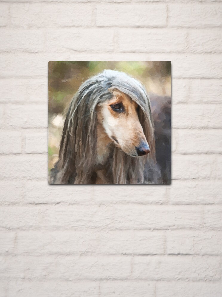 Afghan Hound Dog, Cast Stone Wall Sculpture store by PERITAS Canine Art