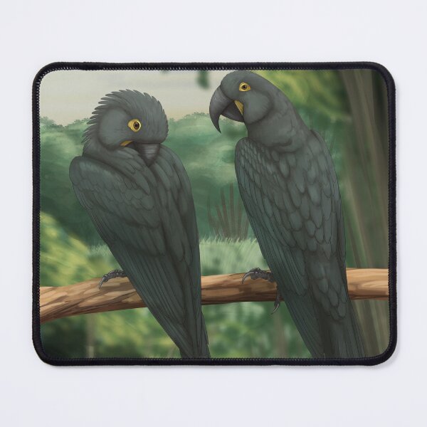 Item preview, Glacous Macaws designed and sold by DragonArtist15.