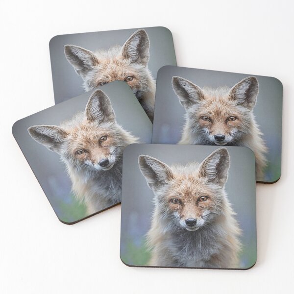 Item preview, Animal  designed and sold by Vipul-shop.
