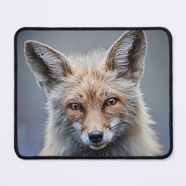 Item preview, Animal  designed and sold by Vipul-shop.