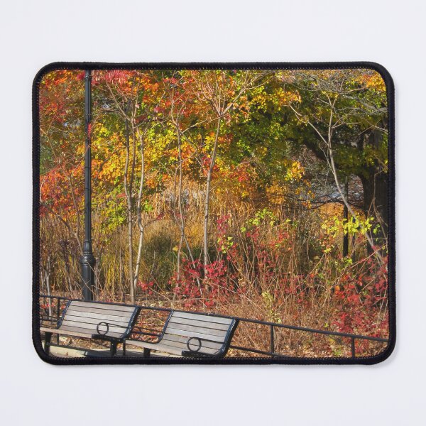 Item preview, Park Bench and Autumn Leaves designed and sold by Rachel B Morton.