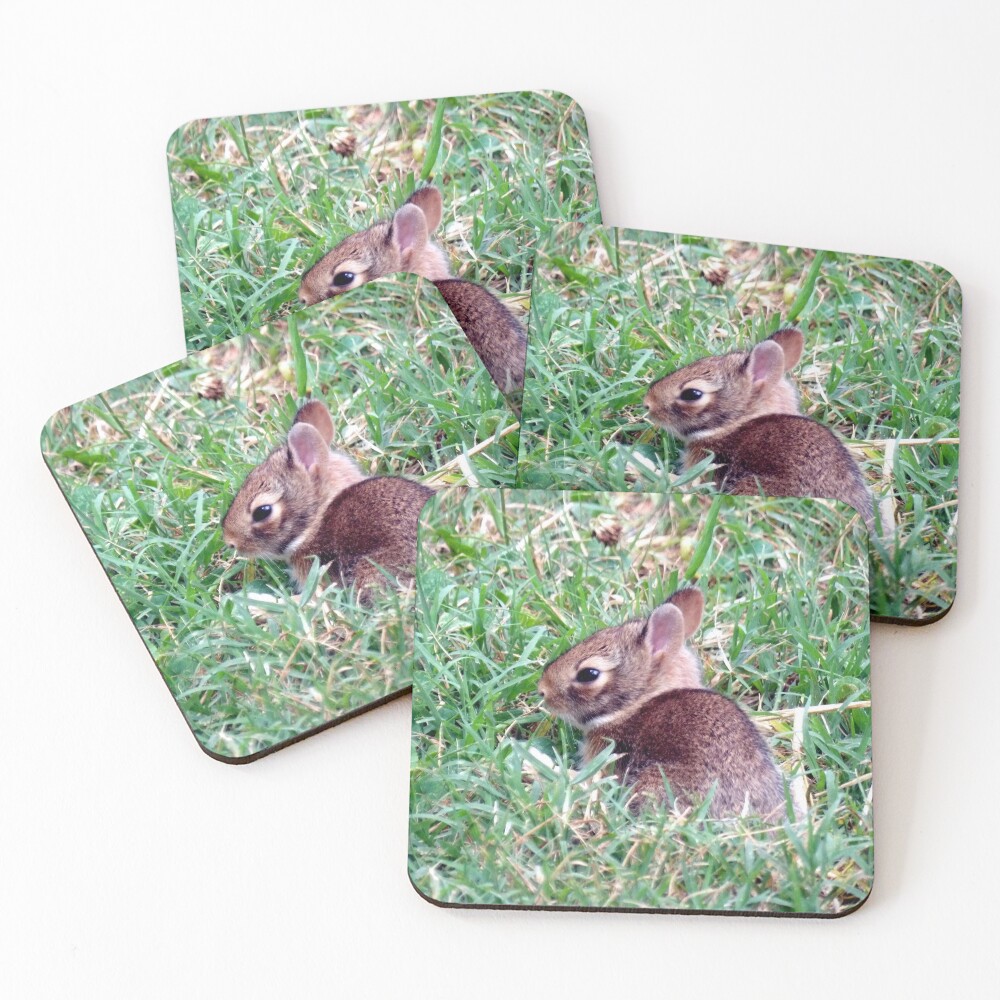 Item preview, Coasters (Set of 4) designed and sold by gistinker.