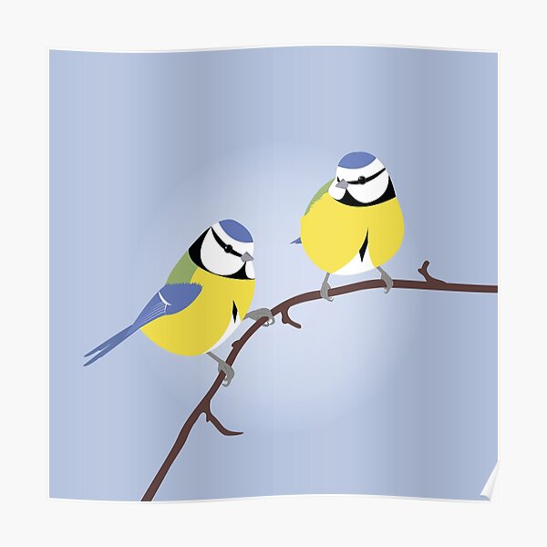 Blue Tit British bird Poster