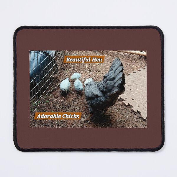 Item preview, Crow and her Babies Chicks designed and sold by Jaroffaith.