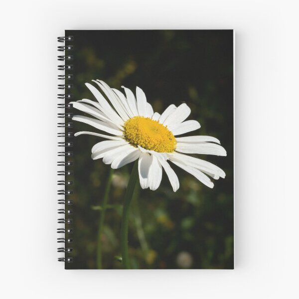 Item preview, Loves me loves me not. Oxeye Daisy designed and sold by Jouko Lehto Photography.