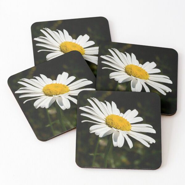 Item preview, Loves me loves me not. Oxeye Daisy designed and sold by Jouko Lehto Photography.