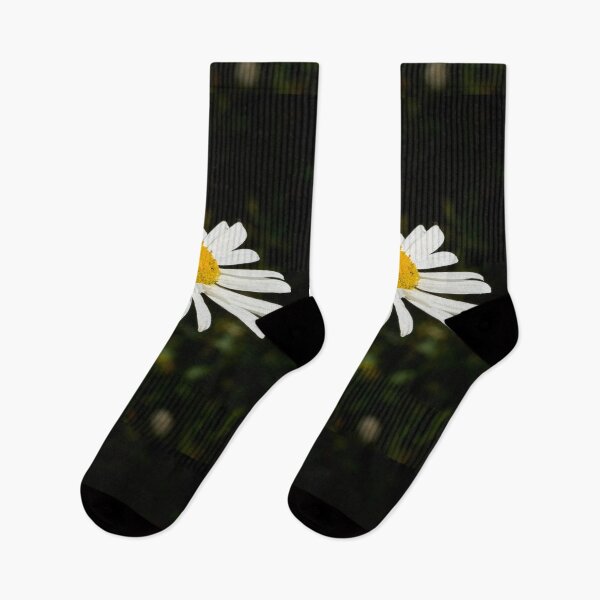 Item preview, Loves me loves me not. Oxeye Daisy designed and sold by Jouko Lehto Photography.