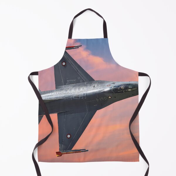 Item preview, F-16 Fighting Falcon designed and sold by Skyframe Aviation.