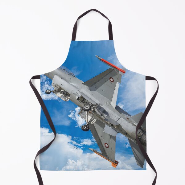 Item preview, F-16 Fighting Falcon designed and sold by Skyframe Aviation.