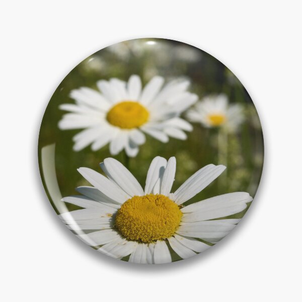 Item preview, Summerfield.. Oxeye Daisy designed and sold by Jouko Lehto Photography.